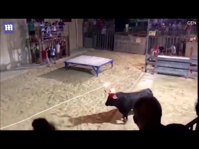 Un toro con los cuernos en llamas embiste a una mujer que intentaba fotografiarlo