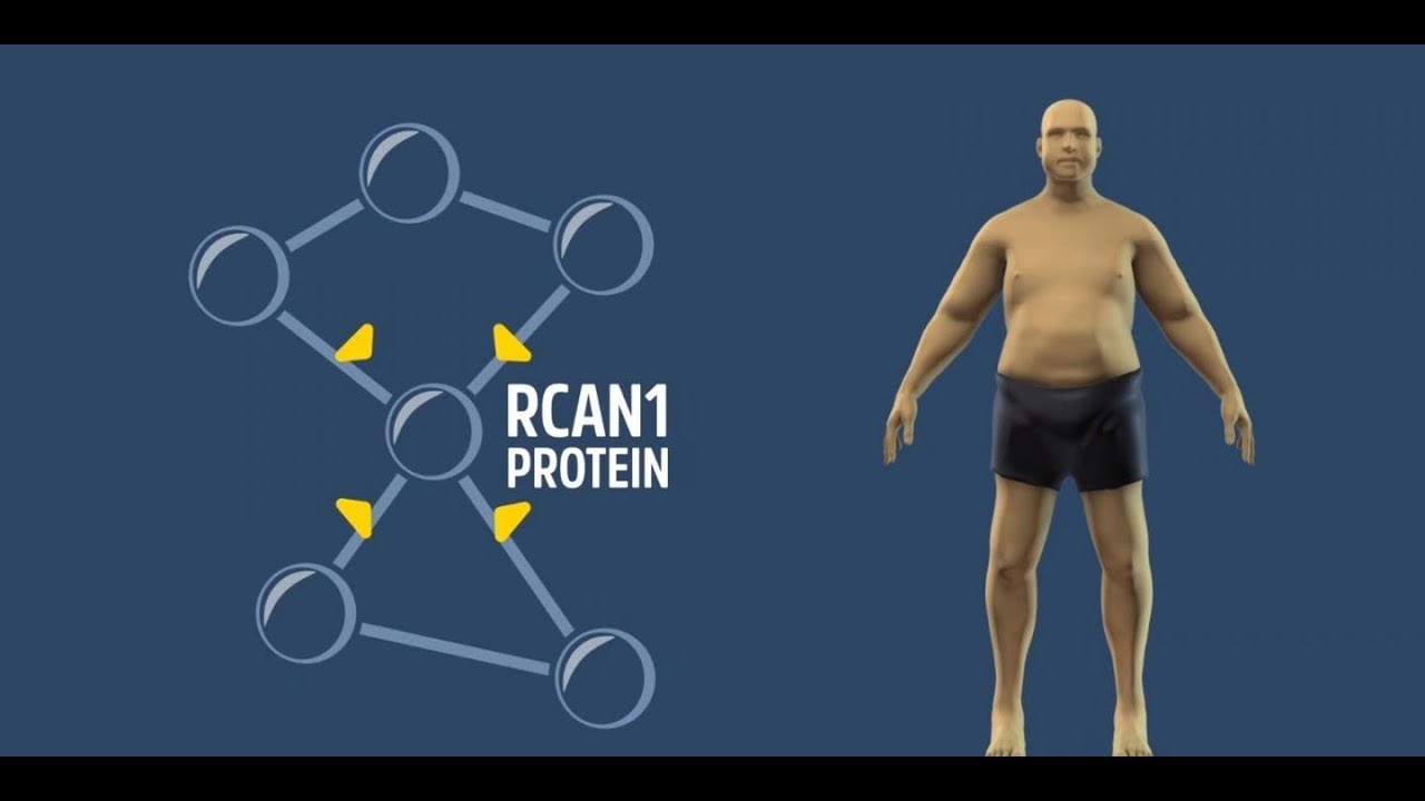 Descubren método para comer todo lo que queramos sin ganar peso