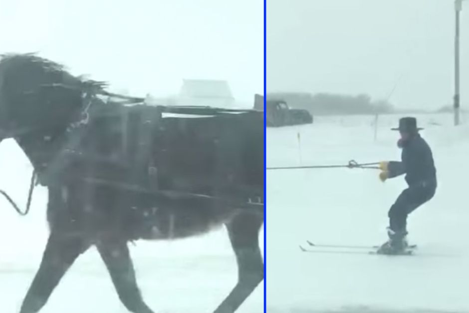 Hombre amish esquía con ayuda de su caballo en plena nevada