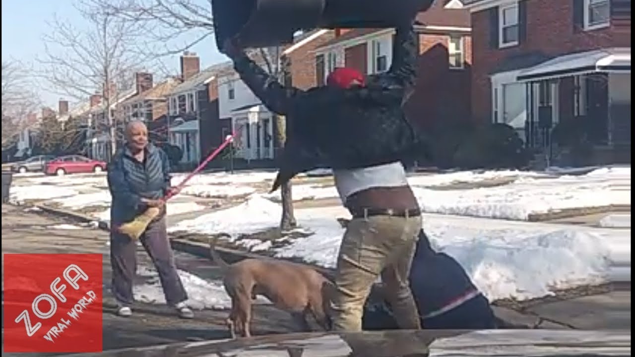 Pitbull ataca a un cartero y se necesita de todo un vecindario para liberarlo