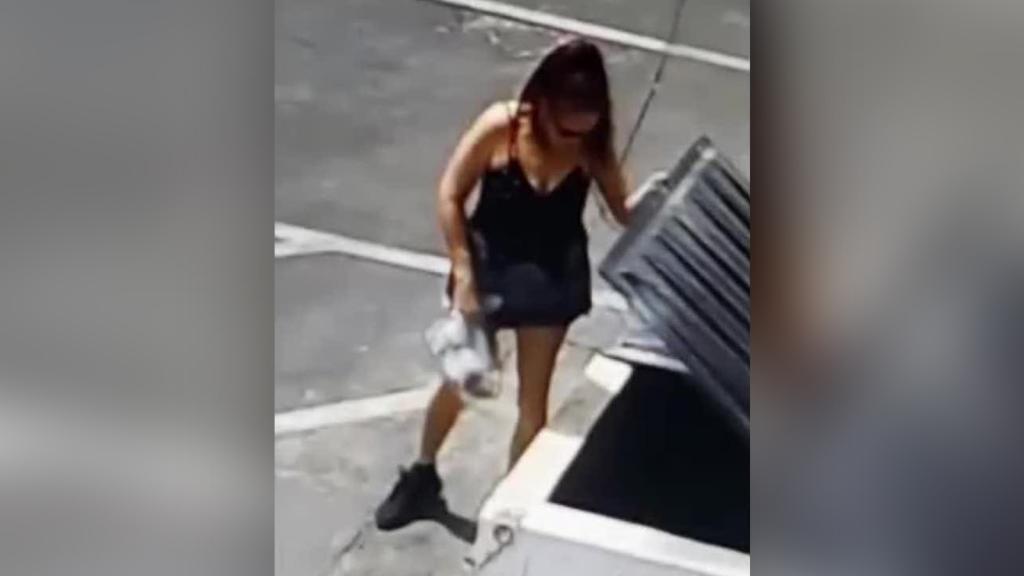 Mujer tiró una bolsa llena de cachorros a un basurero