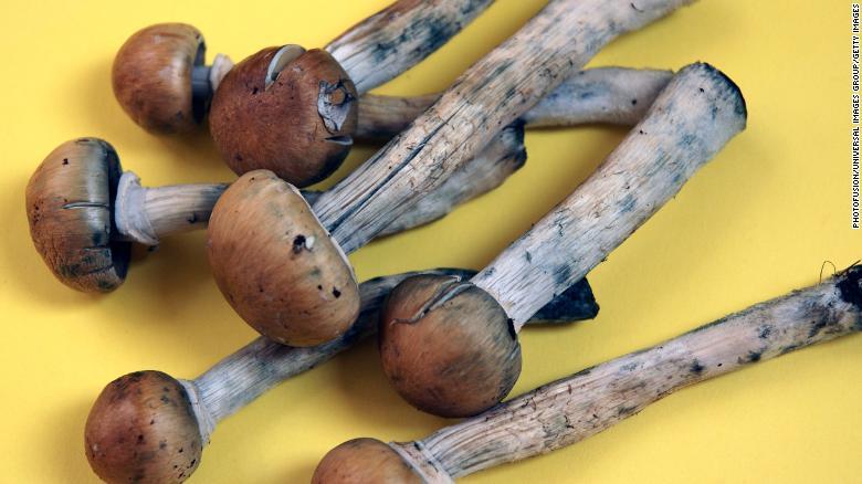 Ahora Denver quiere despenalizar los «hongos mágicos»