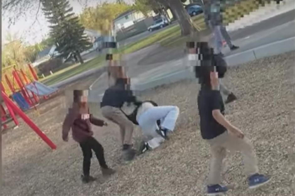 Niños atacan a una madre en un parque como si fueran fieras salvajes