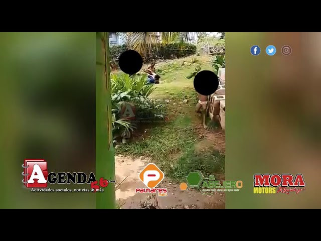 Dominicano casi mata a su pareja frente a sus hijos