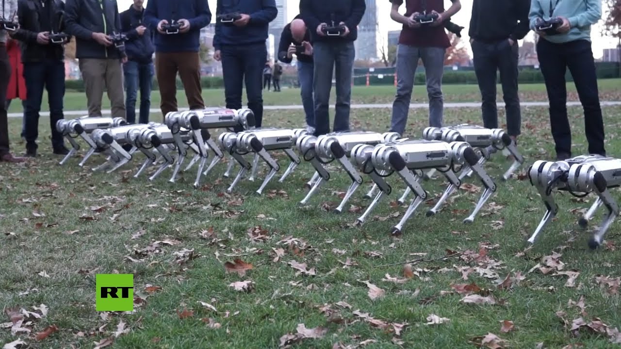 Muestran a ‘robots guepardo’ mientras bailan y juegan al fútbol