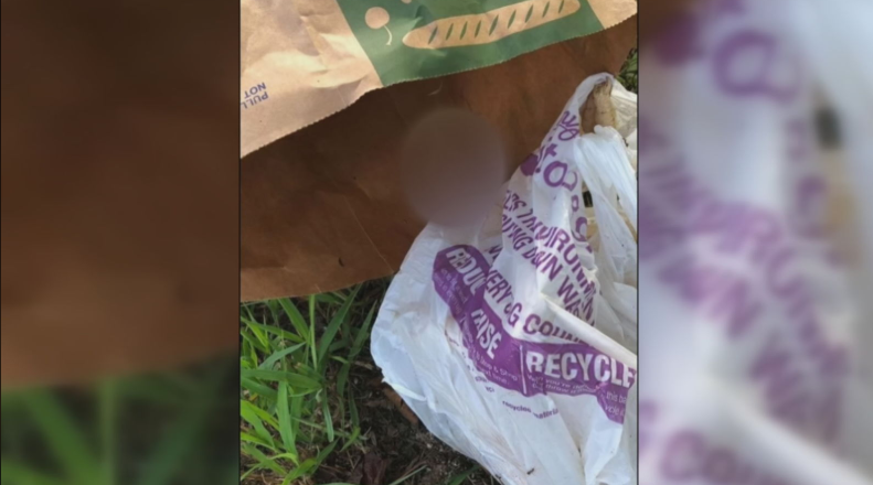Una mujer de North Kingstown dice que arrojaron pollos muertos a su propiedad