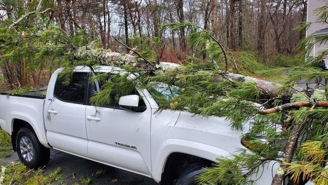 Árboles aplastan autos y camiones durante la tormenta de esta jornada