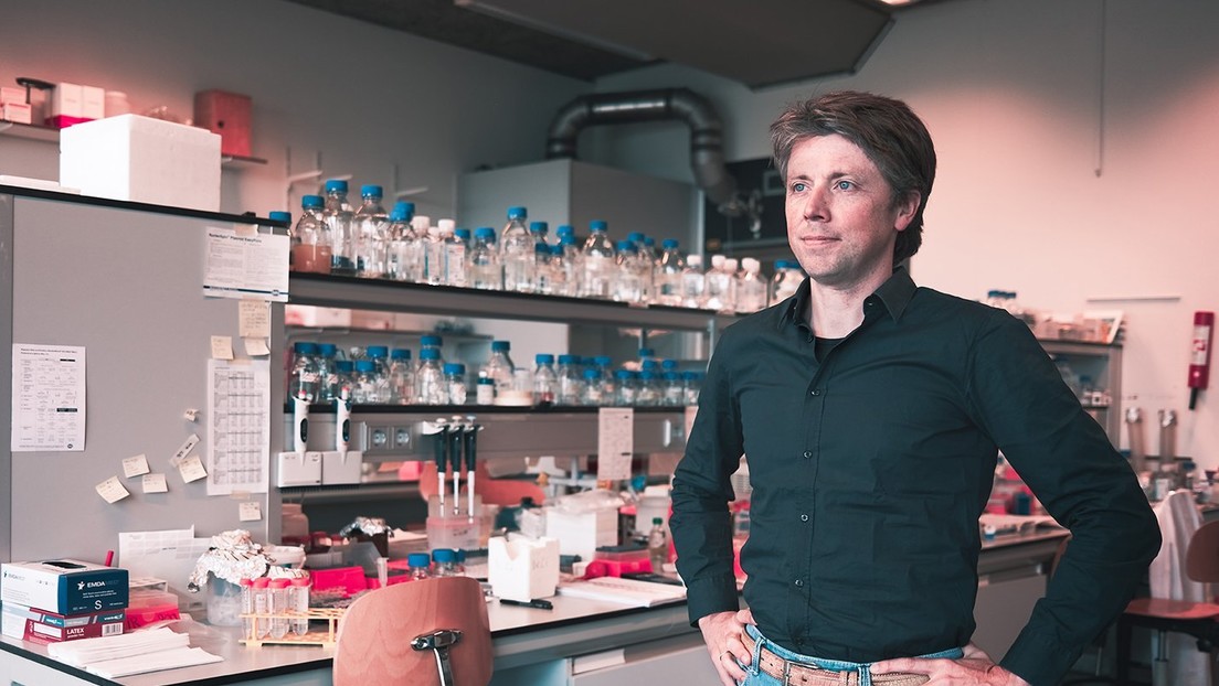 Hallan anticuerpos «completamente humanos» capaces de bloquear covid-19