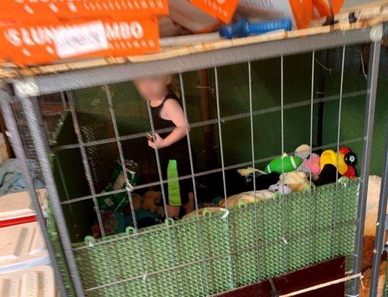 Bebé hambriento vivía en una jaula rodeado por más de 600 animales