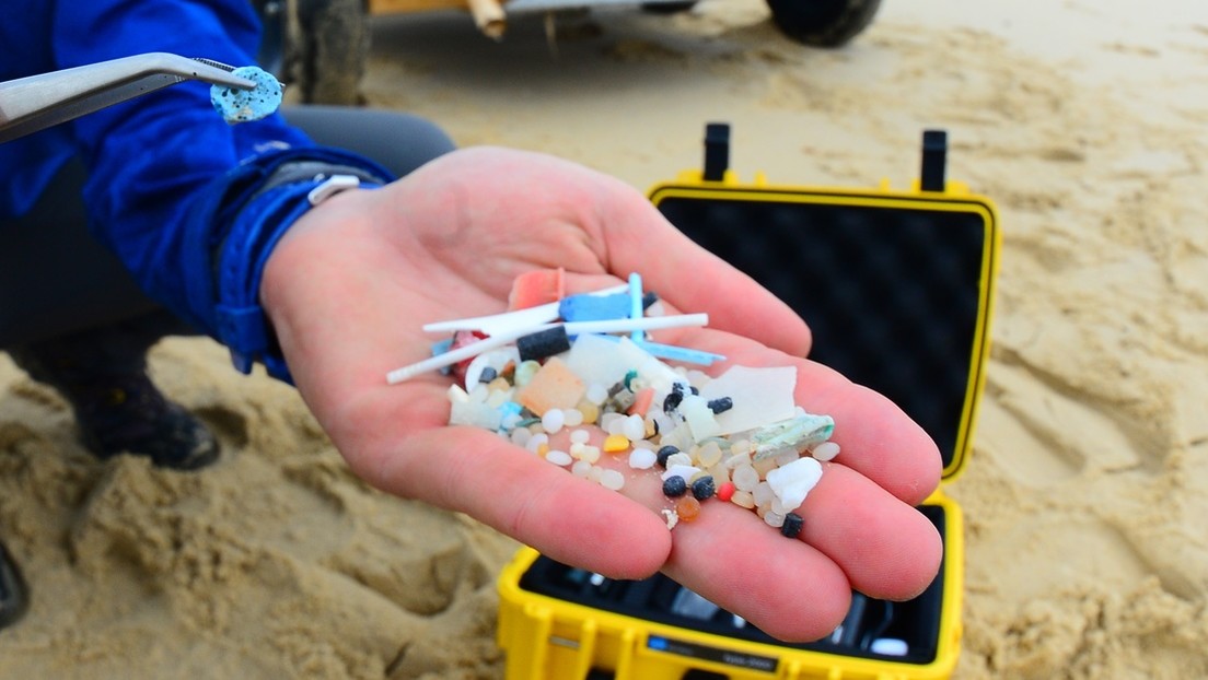 Encuentran por primera vez microplásticos en una placenta humana