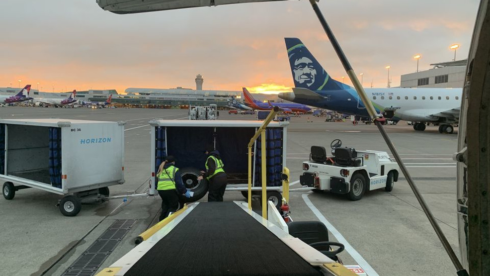 Aerolínea pagará $us 3 millones a familia de abuela que murió por descuido