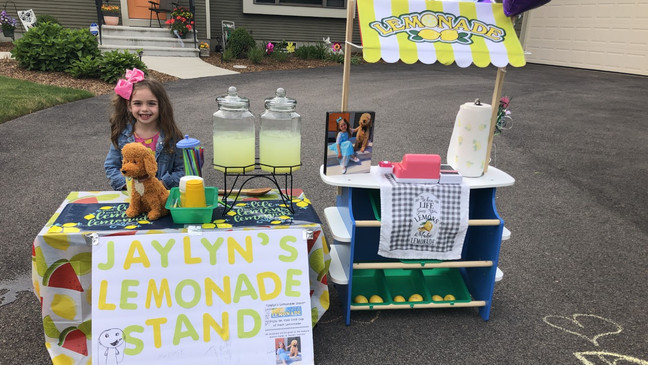 Niña de 6 años recauda $1000, con su puesto de limonada, para refugio de animales