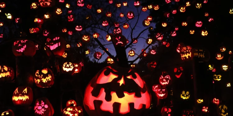 Vuelve el Jack-O-Lantern Spectacular al Roger Williams Park Zoo