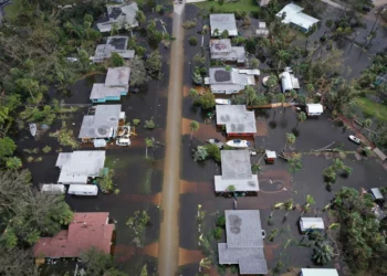 Funcionario del condado de Charlotte dice que se necesita mucha más asistencia