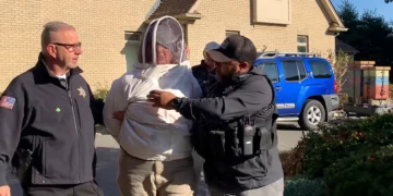 Mujer acusada de liberar un enjambre de abejas sobre los diputados
