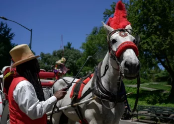 El caballo de carruaje “Ryder” muere meses después de que colapsara en calles de NYC