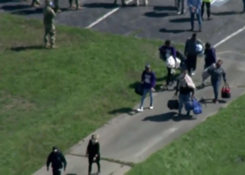 Es identificada la misteriosa reclutadora de los vuelos de migrantes