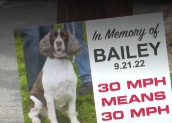 Una mujer de North Attleboro quiere detener a los conductores tras la muerte de su perro