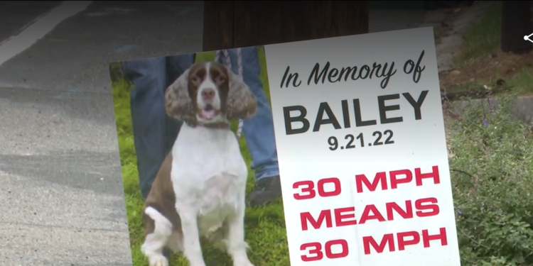Una mujer de North Attleboro quiere detener a los conductores tras la muerte de su perro