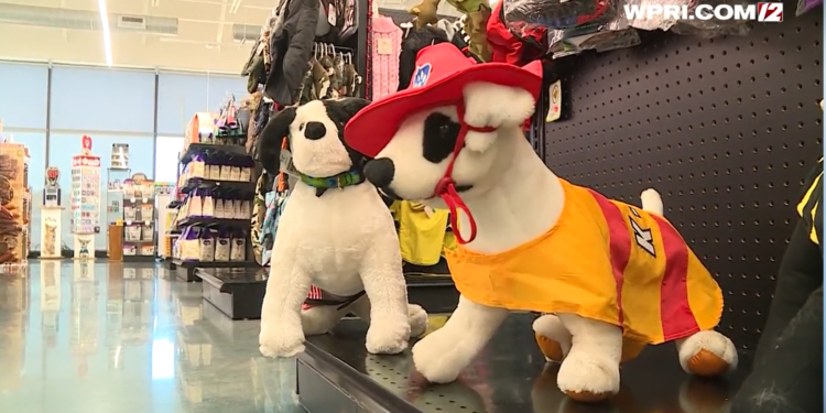 Attleboro prohíbe la venta de ciertos animales en las tiendas de mascotas