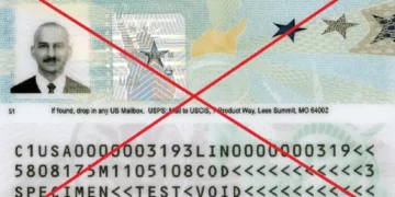 Cómo afecta a los inmigrantes la orden de Biden sobre el consumo de marihuana