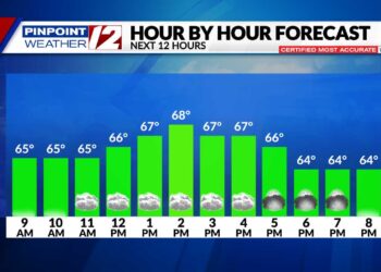 Alerta meteorológica: niebla densa, chubascos hoy; la mayoría por la mañana