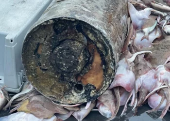 Un barco de pesca captura un explosivo no detonado en la costa de RI