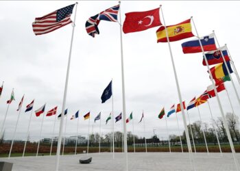 Ucrania busca ser miembro de la OTAN con un «procedimiento acelerado»