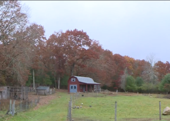 La iglesia wiccana de Coventry obtiene el permiso de zonificación