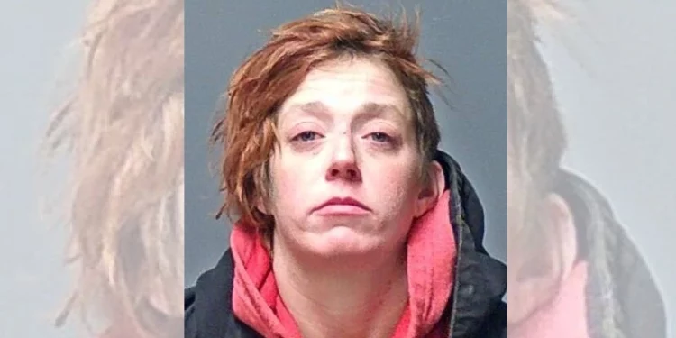 Una mujer de New Hampshire acusada de abandonar a su bebé 