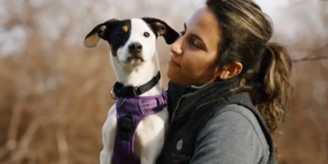 Un perro abandonado en Portsmouth prospera un año después