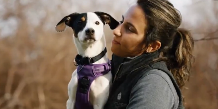 Un perro abandonado en Portsmouth prospera un año después