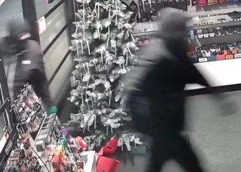 Los sospechosos robaron guitarras de alta gama de Swansea tienda de música