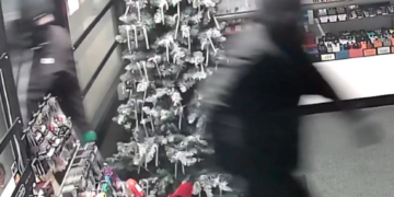 Los sospechosos robaron guitarras de alta gama de Swansea tienda de música