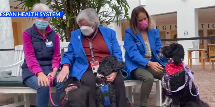 3 perros participan en el Programa de Terapia con Mascotas del Hospital de Newport