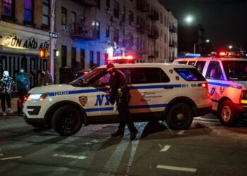 17 empleados públicos robaron fondos millonarios COVID en Nueva York