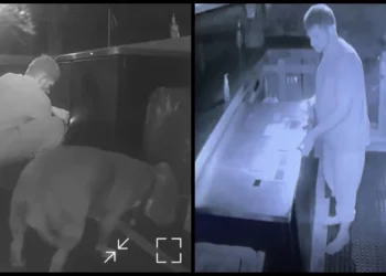 La policía: Hombre irrumpió en Warwick tiki bar con el perro