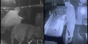 La policía: Hombre irrumpió en Warwick tiki bar con el perro