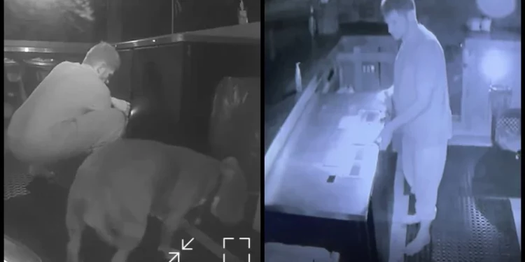 La policía: Hombre irrumpió en Warwick tiki bar con el perro