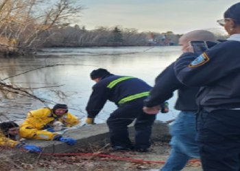 Rescatan a un perro de un estanque helado en Providence