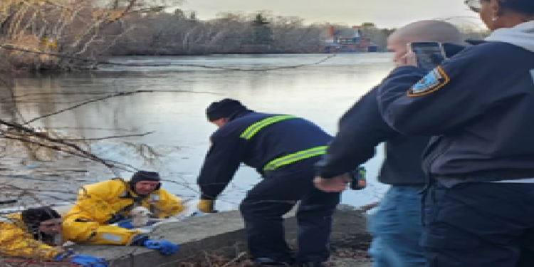 Rescatan a un perro de un estanque helado en Providence