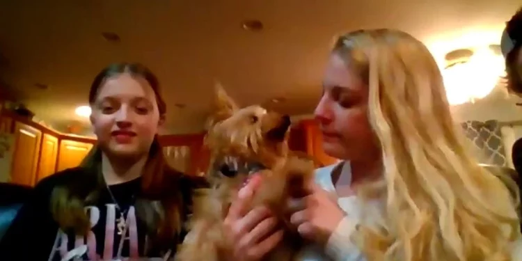 Encuentran en Florida al perro perdido de una familia de Middletown un año después