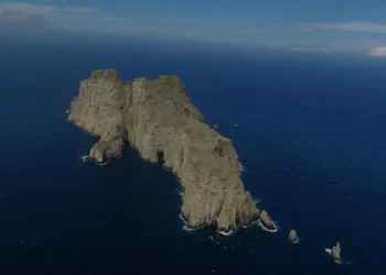 El paraíso de Colombia en el que los tiburones son los guardianes del mar