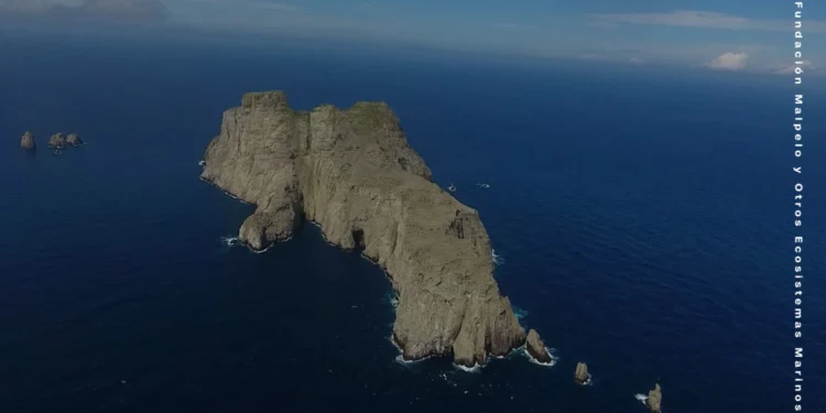 El paraíso de Colombia en el que los tiburones son los guardianes del mar