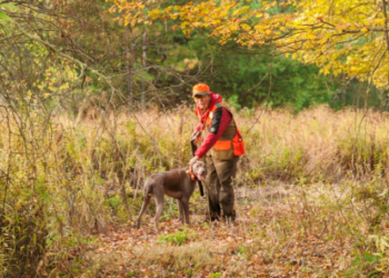 Se debe llevar ropa de color naranja brillante en las zonas de caza.