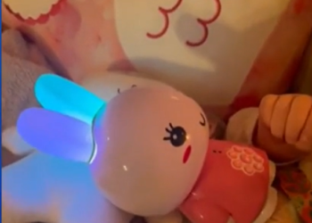 Madre de RI asombrada por una historia inapropiada procedente del juguete de su hija