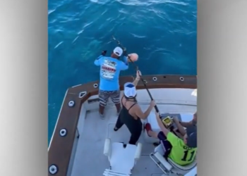 Un niño de 12 años de Massachusetts atrapa un gran tiburón blanco