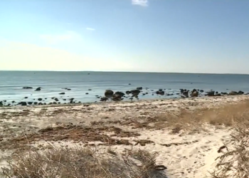 Legisladores de Massachusetts presentan un proyecto de ley para frenar la propuesta de sistemas sépticos