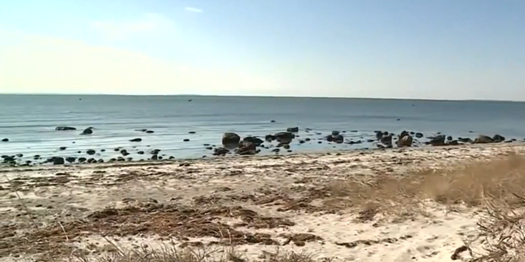 Legisladores de Massachusetts presentan un proyecto de ley para frenar la propuesta de sistemas sépticos