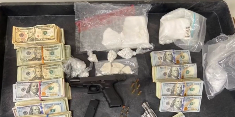 Incautados más de 600 gramos de cocaína en una redada antidroga en RI